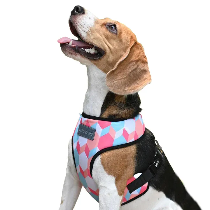 Candy Barr Harness