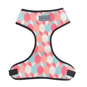 Candy Barr Harness