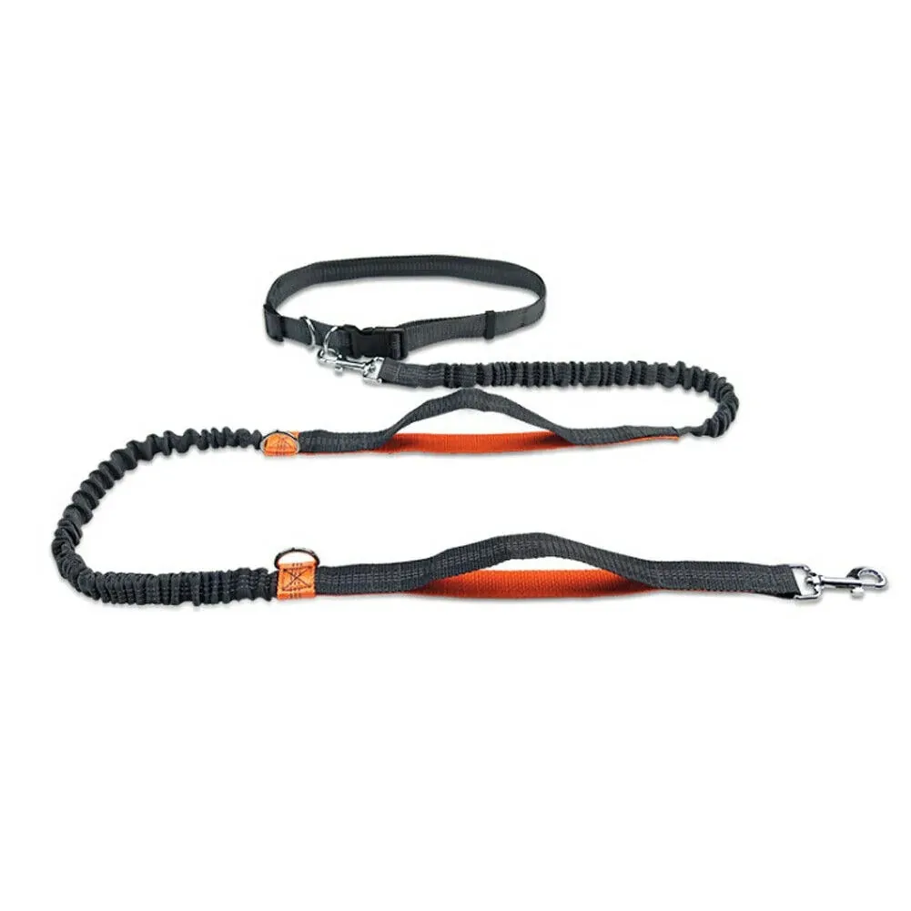 Reflective Rope Pet Leashes - Safe & Durable for Dogs