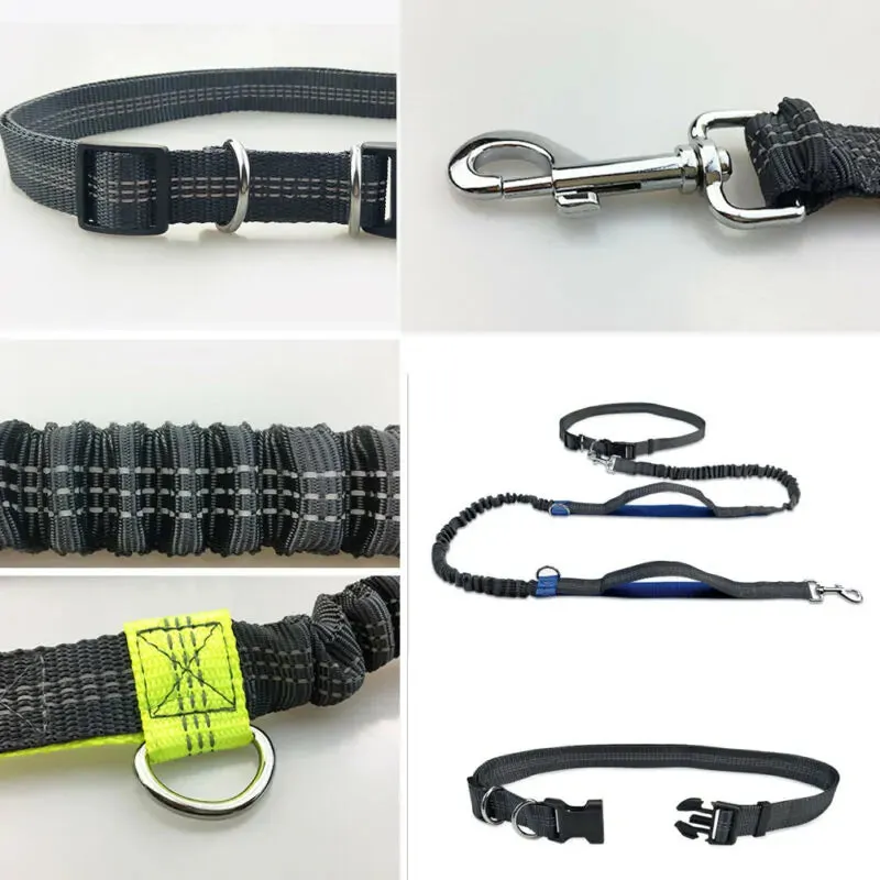 Reflective Rope Pet Leashes - Safe & Durable for Dogs