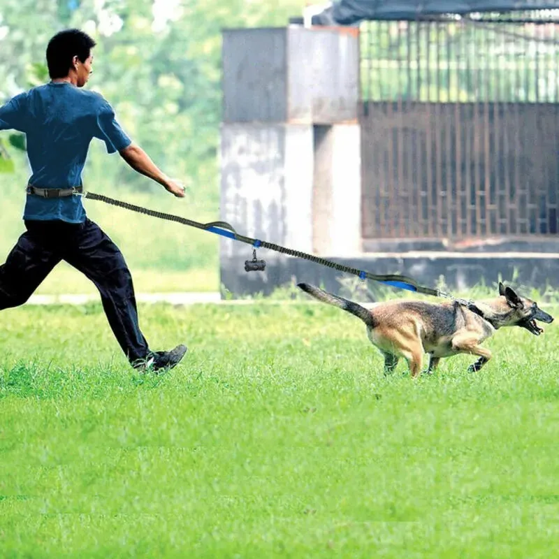 Reflective Rope Pet Leashes - Safe & Durable for Dogs